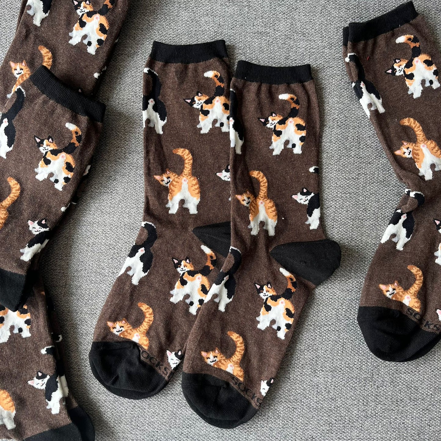 Gatitos Colitas