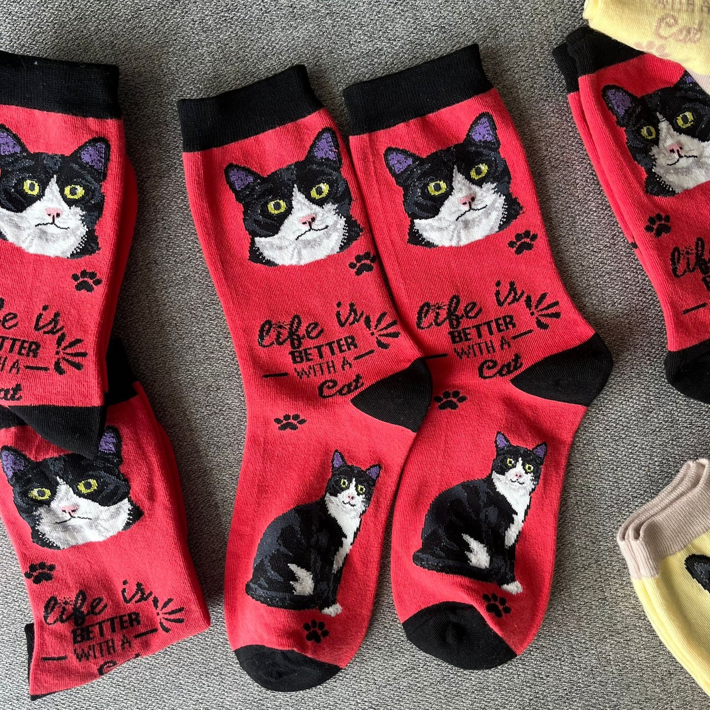 Life is Better with a Cat