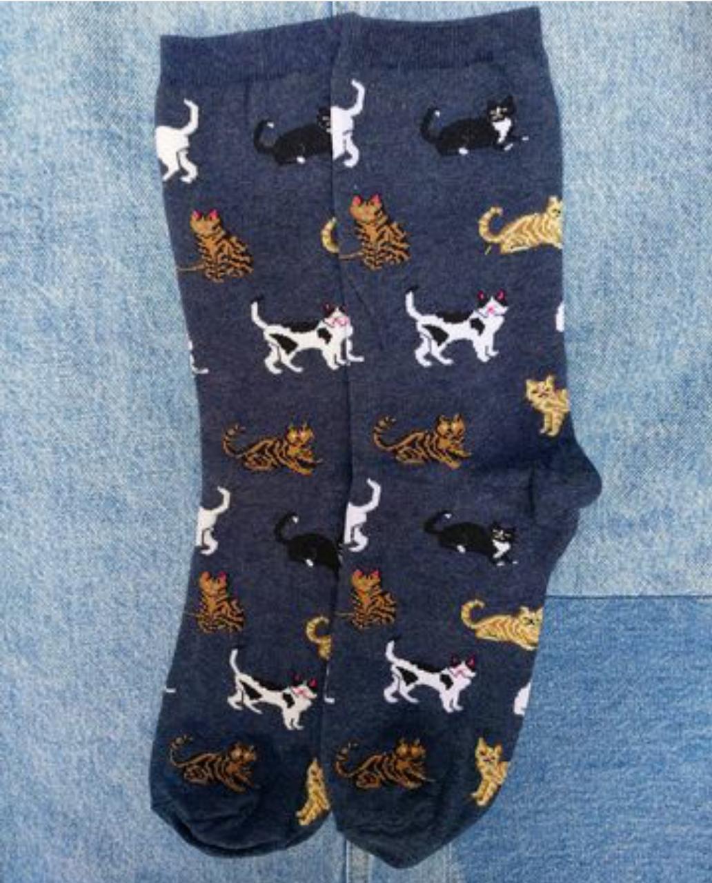 Gatitos mix