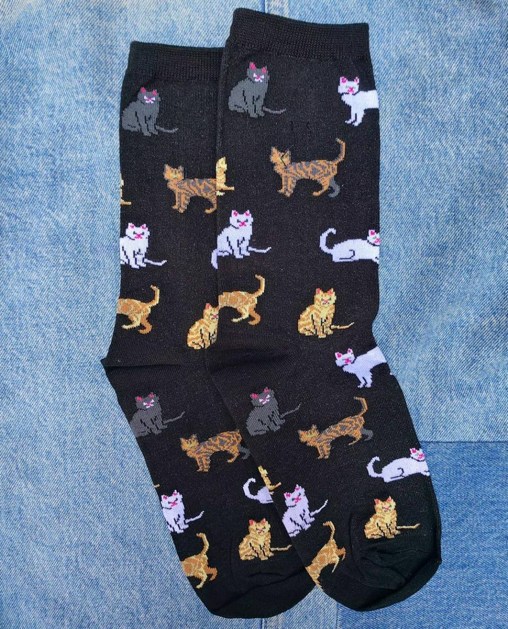 Gatitos mix