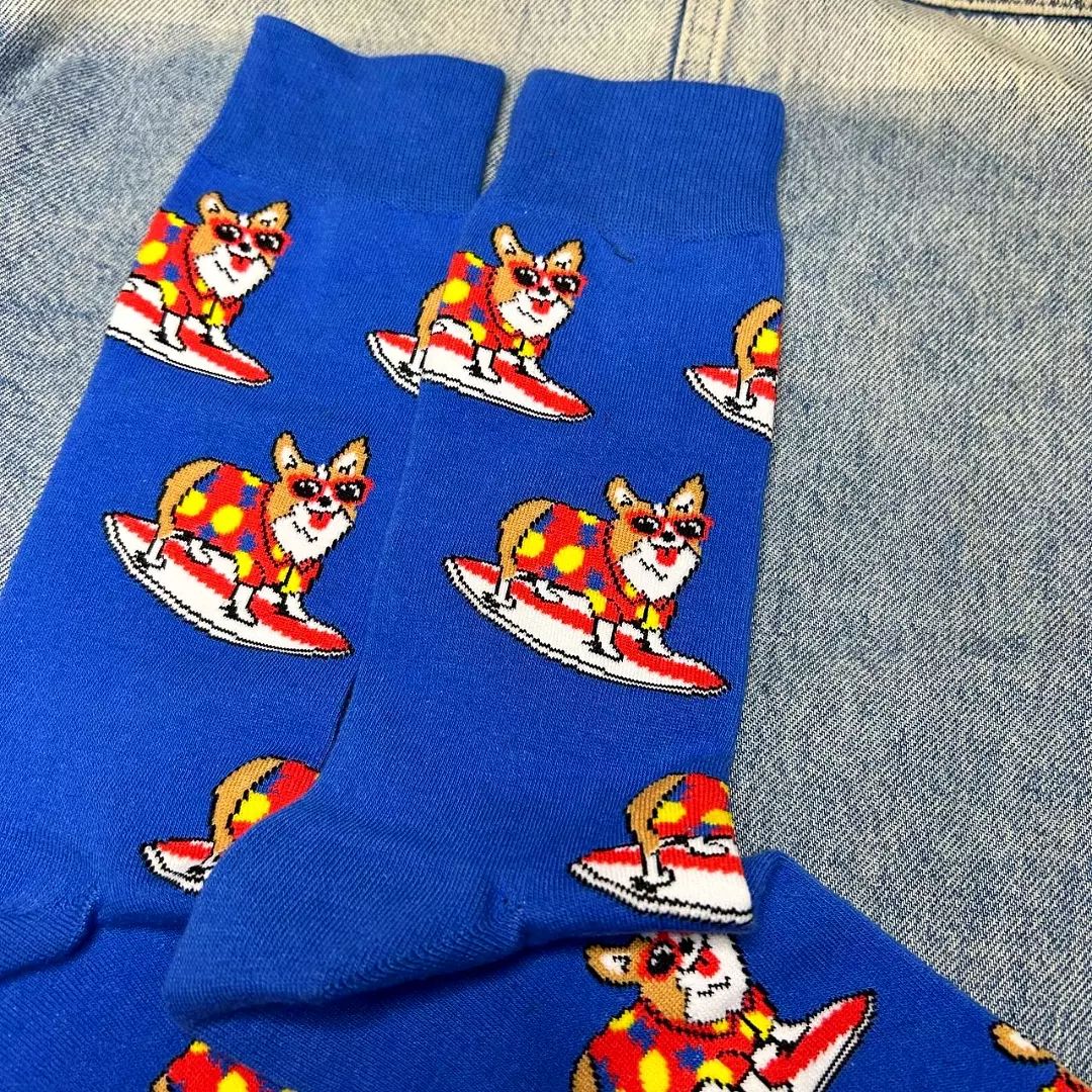 Corgi Surf