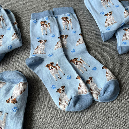 Jack Russell