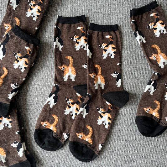 Gatitos Colitas